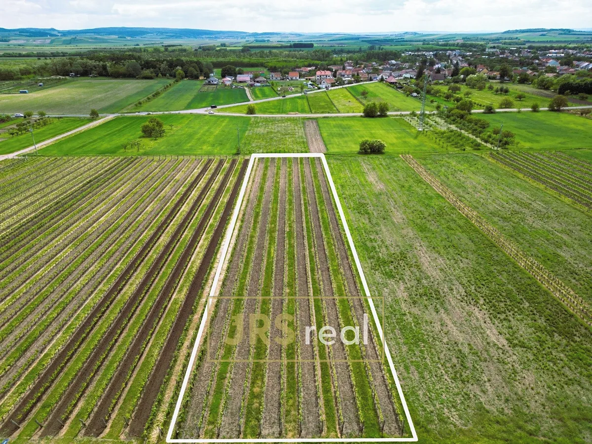 Prodej sadu, vinice 3474 m²